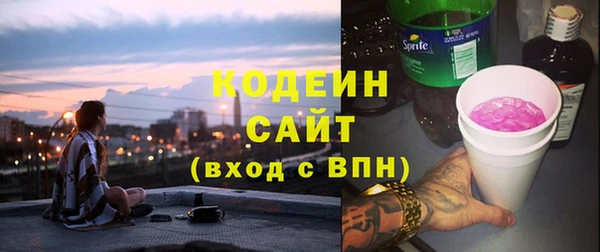 индика Арсеньев