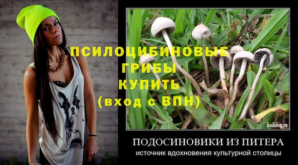 бошки Армянск