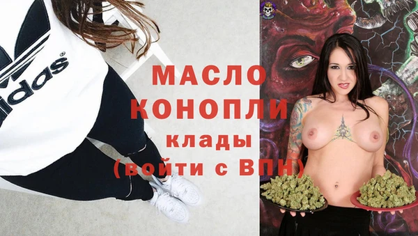 индика Арсеньев