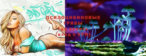 бошки Армянск