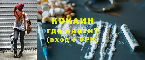 индика Арсеньев