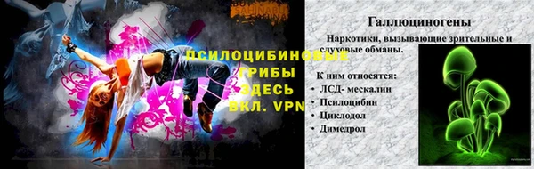 бошки Армянск